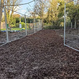 path in garden
